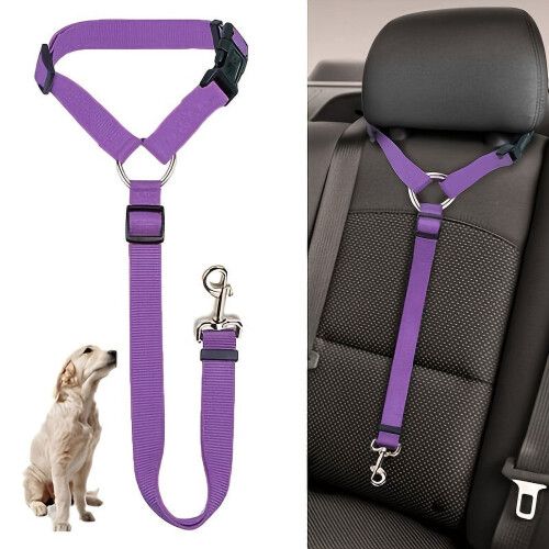 Keep Your Pet Safe While Riding With Our Pet Car Seat Belt 1