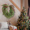 Artificial Christmas Wreath 24 inch with red berries pine 6