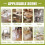 Clear PVC Table Protector 28 x 48 in, 1.5mm 5