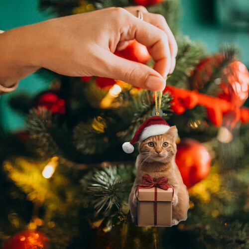 Orange Cat Christmas Ornament Acrylic 2D 1