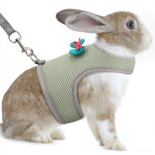 Pet Rabbit Leash Adjustable Small Pet Harness And Leash with Bow Decoration for Rabbit Cat Ferrets