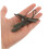 20pcs Olive Green Zipper Pull Replacement Kit for Backpacks Jackets Outdoor Gear Quick 4