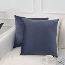 Lot de 2 housses de coussin décoratives en velours doux pour la maison, le canapé, la voiture, le salon, la chambre, 50 x 50 cm