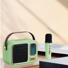 Microfono portatile per cantare e integrare microfono e altoparlante non tossico, colore verde, dimensioni 6,4 x 3,2 pollici, per la casa.