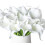 20 τεμάχια τεχνητό λουλούδι calla lily από latex πραγματικής αφής για διακόσμηση σπιτιού 2