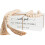 Libri decorativi in legno stile rustico, set da 1 1