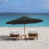 DAMAI 6.5ft–10ft Universal Patio Umbrella Canopy Replacement, UV-Protective, Compatible with 6/8-Rib Frames (Black) 5