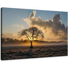 Baum auf der Wiese bei Sonnenaufgang – Leinwandbild – Naturlandschaft für Schlafzimmer, Homeoffice – Fertig zum Aufhängen (30 x 45 cm)