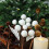 Weihnachtskugeln aus Samt mit Zweigen 3