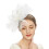 Γυναικείο καπέλο Retro Fascinator με φτερά και πλέγμα, συμβατό με φεστιβάλ ιπποδρομιών, 1