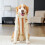 Ρούχα για κατοικίδια Golden Retriever – Ζεστό βελούδινο φλις πουλόβερ για μεγάλα σκυλιά, 4