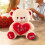 White Teddy Bear Plush Toy 30 cm 5