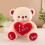 White Teddy Bear Plush Toy 30 cm 8