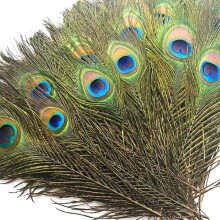 Pacote com 30 penas de pavão de 25 a 30 cm (10 a 12 polegadas) para artesanato, decoração de casamentos e carnaval.
