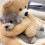 Κρεβάτι σκύλου Teddy Bear με αγκαλιάζοντα μπράτσα – Βελούδινο χαλάκι ύπνου για 3