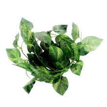 OUNONA Vite artificiale verde per decorazione terrario, lunga 2,5 metri, in plastica, dall'aspetto realistico, per rettili.