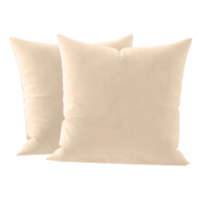 Set van 2 superzachte vierkante fluwelen sierkussenhoezen met ritssluiting, luxe decoratieve kussenhoezen voor bank, fauteuil en slaapkamer, 45 x 45