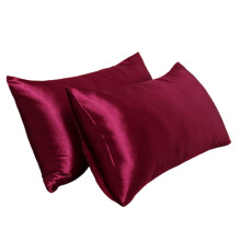 AUQ Polyester Satin Pudebetræk 20x30 tommer med skjult lynlås