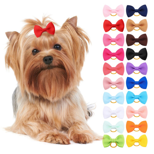 Koirankarvarusetti grosgrain-nauhalla – 4 kpl 1