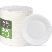 100 % kompostierbare 15 cm Pappteller, 300er-Packung, unbeschichtet und biologisch abbaubar, hergestellt aus Zuckerrohrfasern – perfekt für