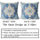 Conjunto de 2 capas de almofada Boho 20x20 polegadas, estampa persa dupla face, algodão macio e felpudo, capas decorativas para sofá/cama (azul) 2