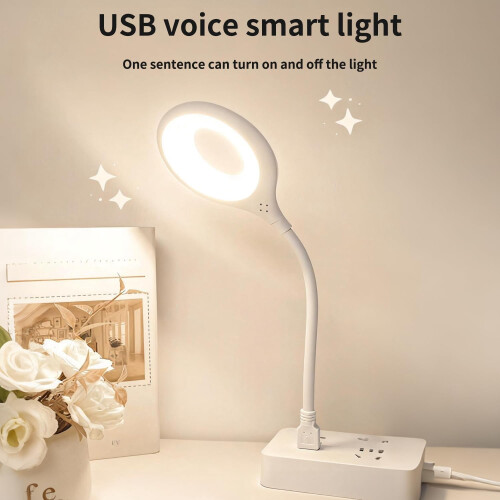 Επιτραπέζιο φωτιστικό LED USB με φωνητικό έλεγχο και λαιμόκοψη gooseneck 1