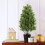 Künstliche Zypressen-Topiary-Bäume, 2er-Set mit Erdspieß 5