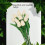 Buquê com 10 tulipas artificiais azuis de 33 cm (13 polegadas) em PU 5