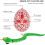 Serpent télécommandé avec mouvements réalistes (1 pièce) 8
