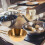 2Pcs Multi-Function Hanging Capability Camping Bowls for Hotel Breakfast 2