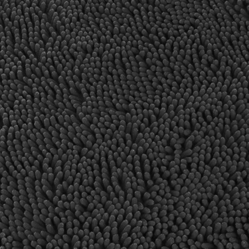 Scruffs (90cm x 60cm, Grey) Scruffs Noodle Dog Drying Mat 2
