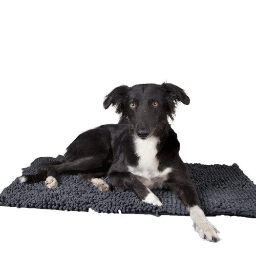 Scruffs (90cm x 60cm, Grey) Scruffs Noodle Dog Drying Mat 1