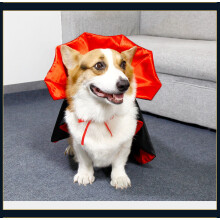 Cape d'Halloween pour chiens et chats (1 pièce)