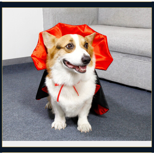 Cape d'Halloween pour chiens et chats (1 pièce)