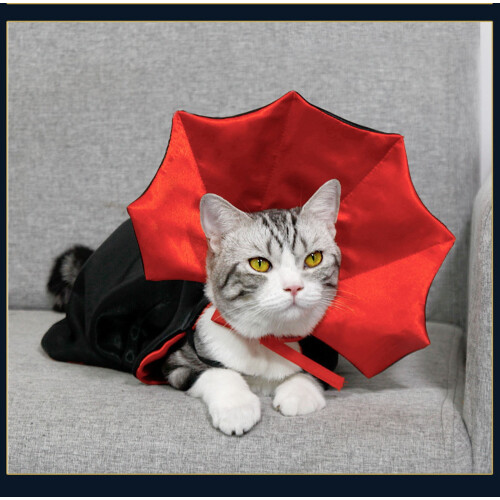 Cape d'Halloween pour chiens et chats (1 pièce) 2
