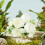 Fun Bunch Mixed Flower Bouquet Small 5