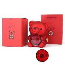 Teddybär mit konservierter Rose, Halskette und eleganter Geschenkbox – Romantisches Geschenk zum Valentinstag, Muttertag, Jahrestag, Geburtstag