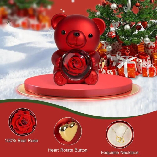 Šperkovnice Rose Hug Bear s pravými konzervovanými růžemi 2