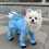 Conjunto impermeável para cães com sapatos – Capa de chuva e botinhas refletoras com cobertura total, capuz e mochila, compatível com cães de 1