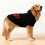 Sweat à capuche pour chien de grande taille (XXXXL) 5