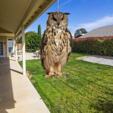 Carillon éolien anti-oiseaux en forme de hibou - Décoration extérieure suspendue pour jardin, verger et terrasse
