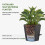 Plantepotter Selvvandende 20 cm, 2-pak, sort 3