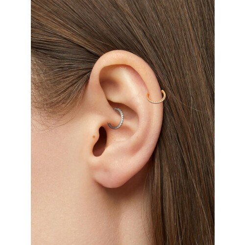Κρίκοι μύτης από τιτάνιο σε σχήμα D16G8mm2PCS 2