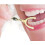 Dental Floss Kit with Dual Stainless Steel Holders, Replaceable Mint Rolls, Travel Case 5