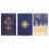Phyllis Curott The Witches' Wisdom Tarot Cards 3