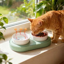 Automatische voerverwarmer en -warmer met USB-voeding, thermische voerbak voor katten, om ook bij koud weer verse maaltijden te bieden, groen