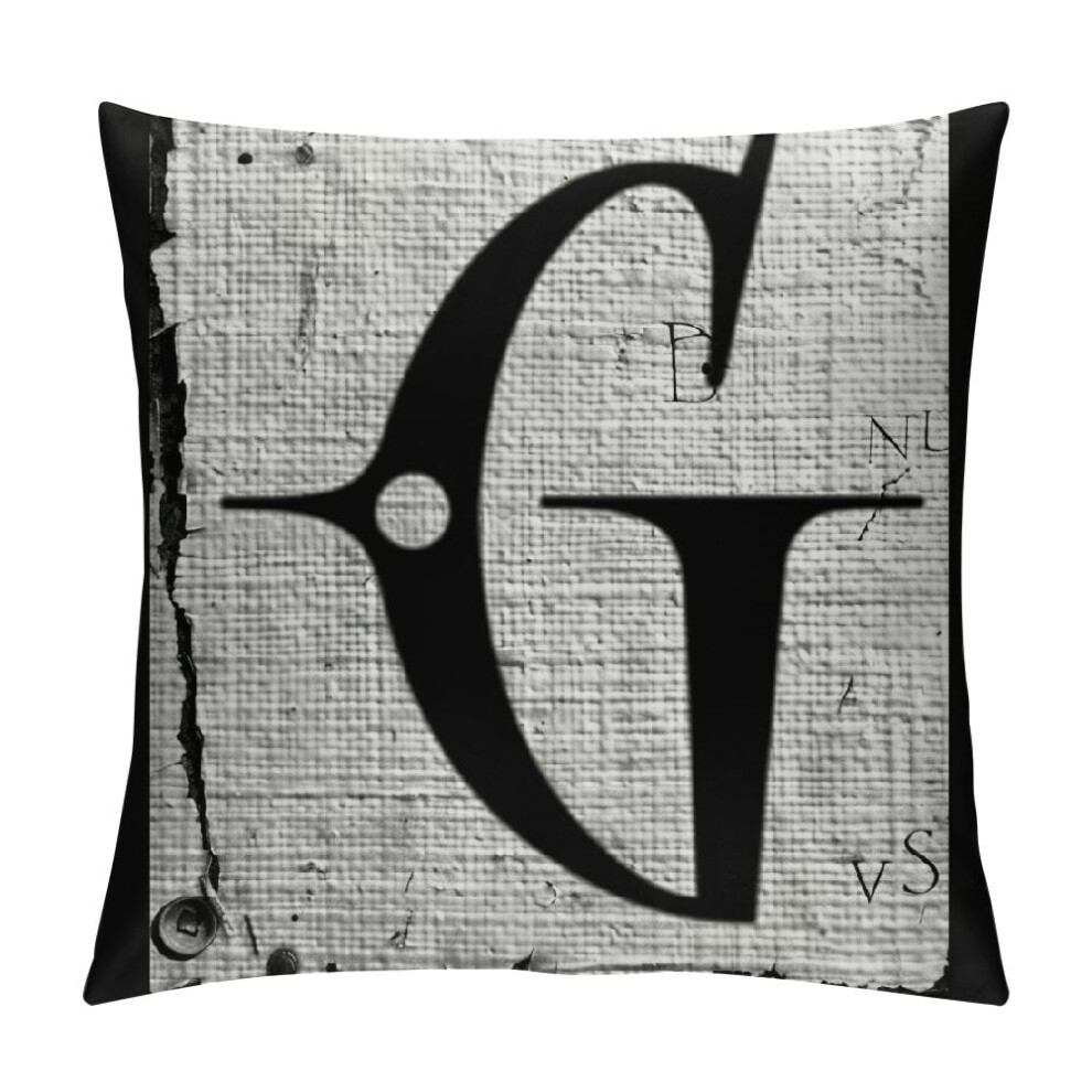Dog Paw Throw Pillow Cover 16x16 inch