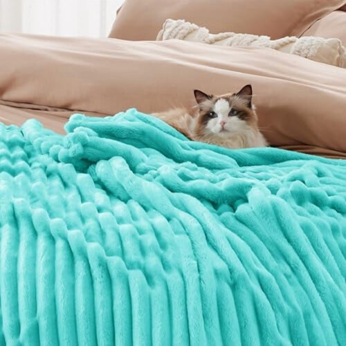 Blue Striped Flannel Fleece Blanket Full Size 2