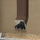 2 τεμάχια εκτροπέα υδρορροής για 3"x4" & 2"x3" – Βαριάς χρήσης διασκορπιστής βρόχινου 5