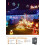 Solar lichtsnoer van 12 meter met 100 LED's, IP65 waterdicht 3